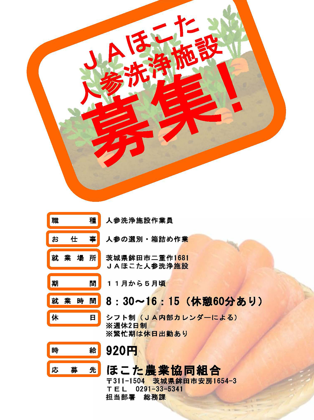 専用 茨招募36点 お知らせ「人参洗浄施設作業員募集」の記事｜JAほこた 茨城県鉾田市