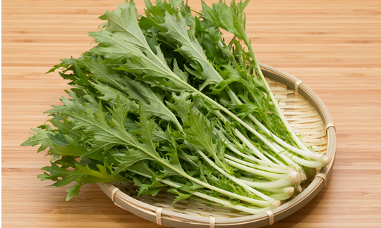 水菜